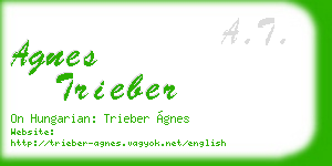agnes trieber business card