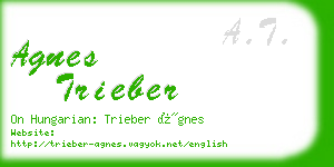 agnes trieber business card